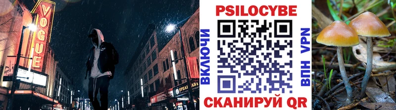 kraken зеркало  Вытегра  Галлюциногенные грибы Cubensis 