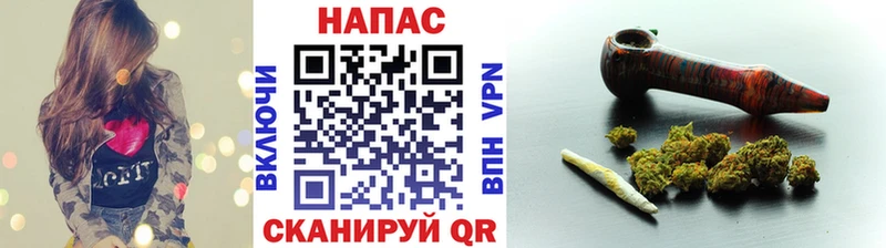 купить наркотики сайты  Вытегра  Конопля индика 